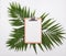 Clipboard mock-up on green palm leaves