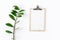 Clipboard zamioculcas branch white background top view flat lay