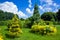 Clipped evergreen thuja bushes in topiary different shape.