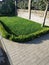 Clipped grass and bushes. landscape design
