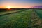 Clipped hay on grassland at sunrise