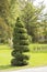 Clipped topiary spiral at Halifax Public Gardens in Halifax, Nova Scotia, Canada