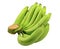 Clipping paths cavendish banana,close up cavendish banana or bunch banana raw green