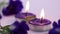 Clips video herbal candle aromatherapy extract purple flowers butterfly pea