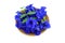 Clitoria ternatea (Butterfly Pea, Blue Pea)
