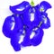 Clitoria ternatea or telang flower, the beauty of its purple color is astonishing.