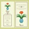 Clivia flower in pot banners