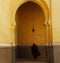 Cloaked figure in archway of Mausoleum of Moulay Ismail