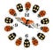 Clock Beetles. Circular design with ladybugs.