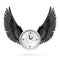 Clock and black wings.