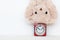 The clock and A cute teddy bear