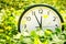 Clock on green grass, on nature background, deadline alarm concept