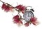 Clock hour change spring time and season magnolia flowers isolated - 3d renderin