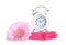 Clock, menstrual pads and flower on white background. Gynecology