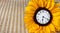 Clock in sunflower