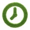 A clock symbol made of green grass isolated on a white background