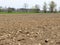 Clods of soil in a plowed field