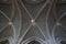Cloister ceiling of Cathedral of Saint Mary of Burgos Santa Maria de Burgos. Spain