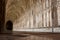 Cloister in Gloucester Cathedral