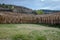 Cloister monastery in Spain