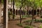 Cloister of Santa Anna church, Barcelona (Spain)