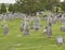 Clonmacnoise Monastery Cemetery