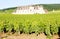 Clos Blanc De Vougeot Castle