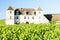 Clos Blanc De Vougeot Castle, Burgundy, France