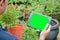 Close back view of asian male gardener or florist worker doing some research at garden farm using tablet Computer. modern garden c