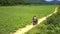 Close backside view couple rides scooter on peanut field