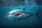 Close big bluefin tuna fish swimming in clear ocean water, Generative AI