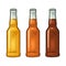 Close bottle with three types beer. Vintage color vector engraving illustration.