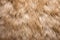 close capture of a rabbits fur for a soft, fluffy texture