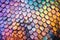 close capture of rainbow colors on a fish scales