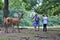 Close contact with animals in the Wildlife park in Daun, Germany