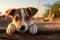 Close-Curious puppy close-up adorable gaze clear blue sky copy space Generative AI