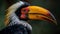 Close detail hornbill of the beak watching. AI Generative