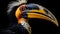 Close detail hornbill of the beak watching. AI Generative