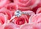 Close Diamond ring on pale pink roses