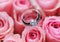 Close Diamond ring on pale pink roses