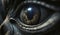 Close Encounter: An Alien\'s Eye View in High Definition