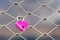 Close focus on pink lock hanging on metal net fence