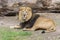 Close Lion from National Park Of Kenya, Africa