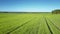 Close motion above green field to forest against blue sky