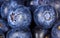 Close op of blueberries - bilberries