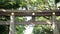 close pan of a meiji shrine torii gate at shibuya in tokyo