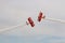 Close pass of 2 Boeing Streaman biplanes during a wingwalker session at a UK airshow.