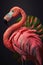 Close portrait pink flamingo with leaf, Generative AI