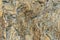 Close rock pattern texture background