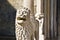 Close shot of a pillar with a lion statue at daytime